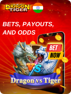 Find Tiger Dragon online game